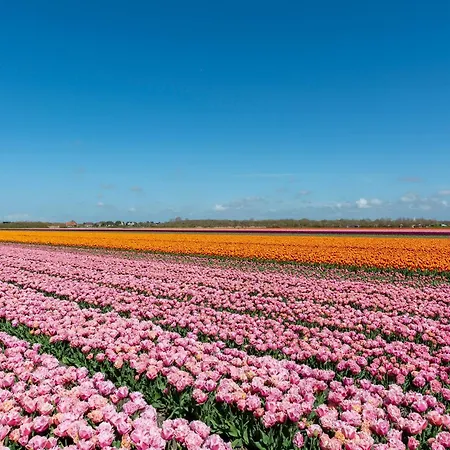 Appartamento In Near *